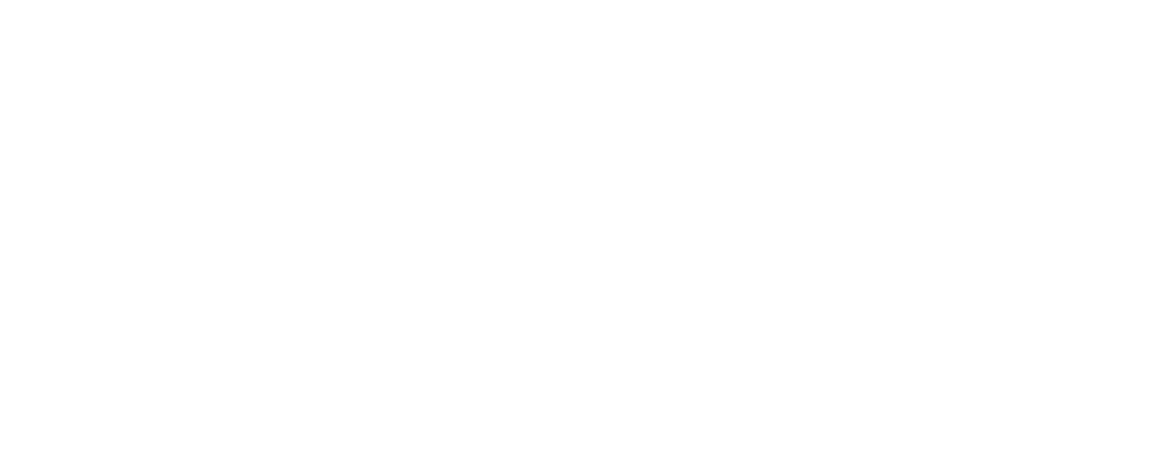 Logo ALN