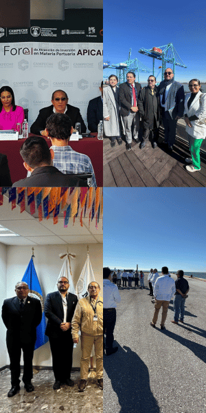 Alliance en Infraestructura y puertos
