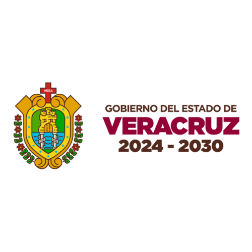 Logo Veracruz en Alliance